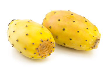 yellow prickly pear or opuntia isolated on a white background