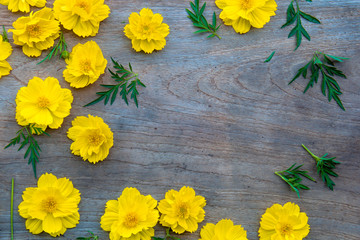 flat lay composition space on teak wood top table with yellow cosmos flowers 