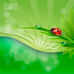 Natural green background