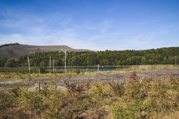 Biotop an der Göttelborner Höhenhalde im Saarland