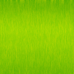 Background green