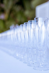 champaign glass lined up