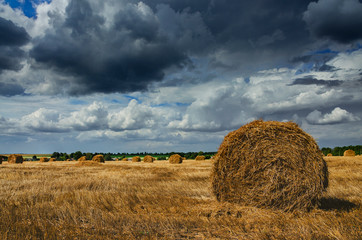Straw bales in empty field after harvesting time on a background of dark dramatic clouds in overcast sky