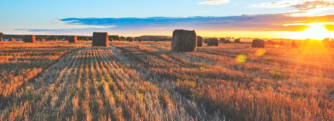 Selbstklebende Fototapete Sommer Panoramablick auf Heuballen auf dem Feld nach der Ernte, beleuchtet von den letzten Strahlen der untergehenden Sonne