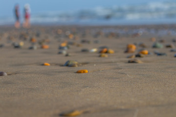 colorful stones over the sand on the beach