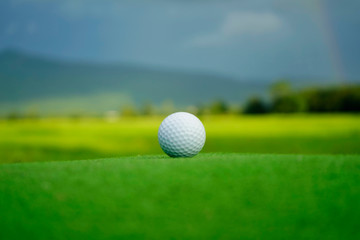 Golf ball on green in beautiful golf course at sunset background.
