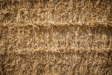 Dry yellow hay