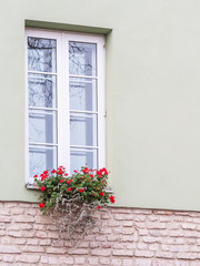 Fototapeta na wymiar Typical european window with flowers. Flower box below a windows on an apartment building