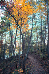 Nature Trail in North Carolina in the Fall