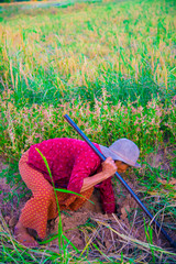 Thai elderly hunting a crab in Bangkok, Thailand. Thailand is known as a country with a smile.