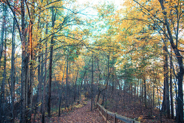 Nature Trail in North Carolina in the Fall