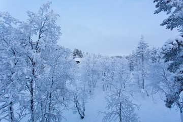 The lapland landscape during winter
