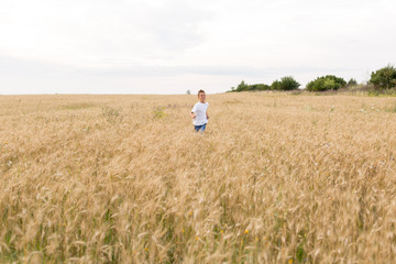 Naklejka na ściany i meble boy in wheat field. child. wheat field. boy running in the field