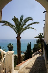Widok na morze śródziemne i palmy - obrazy, fototapety, plakaty