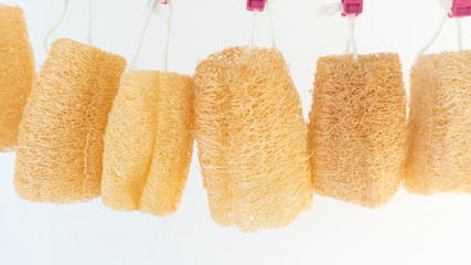 shower equipment made from fiber of zucchini on wood pallet