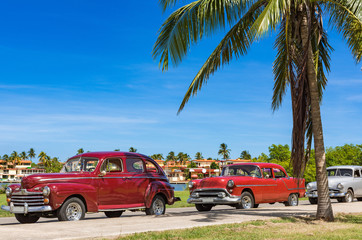 Amerikanischer roter und braun-roter Oldtimer parken am Strand unter Palmen in Havanna Kuba - Serie Kuba Reportage - obrazy, fototapety, plakaty