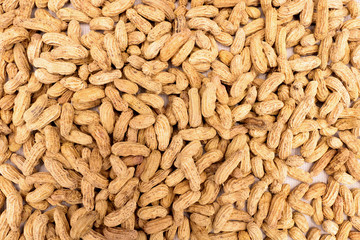 Peanut  for use background