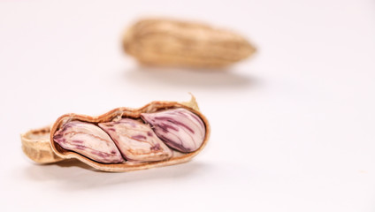 Peanut  for use background