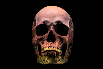 Sunset colors in the skull isolated on a black background