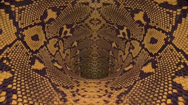 snakeskin wormhole funnel tunnel flight seamless loop animation background new quality vintage style cool nice beautiful 4k stock video footage