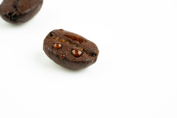 coffee bean and water droplets
