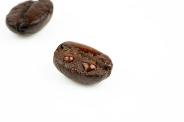 coffee bean and water droplets
