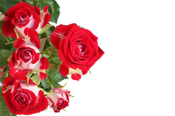 Fototapeta na wymiar Bouquet of red roses isolated on white background