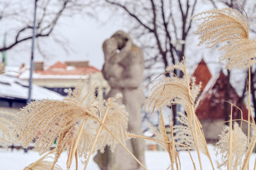 Scuipture in the park in Tallin