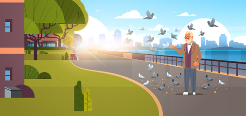 senior man feeding flock of pigeon modern city quay urban cityscape skyscrapers background horizontal banner flat - obrazy, fototapety, plakaty