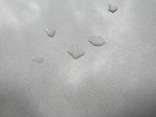 Drop water on grey car texture