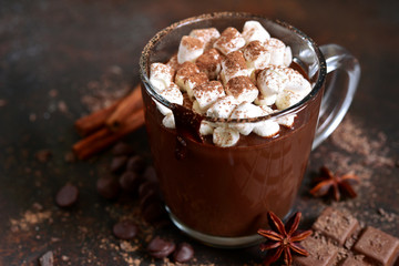 Homemade spicy hot chocolate with mini marshmallow.