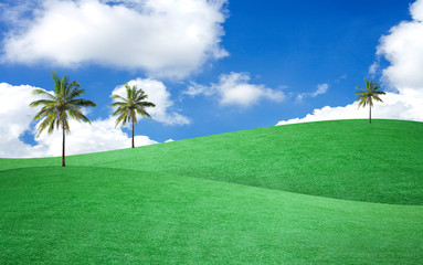 Landscape tree on green field with blue sky.