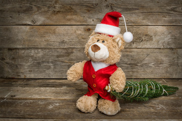 Teddy mit einem Weihnachtsbaum