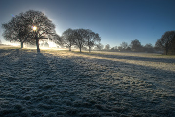 frosty landscape