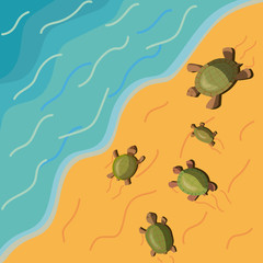 postcard with resting five different turtles crawling on the beach along the sand to the water on a warm sunny day