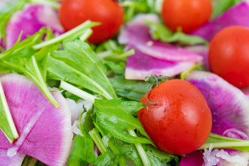紅芯大根と水菜のサラダ