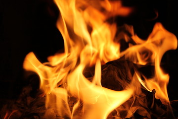 fire on black background