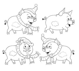 Christmas. New Year 2019. Year of Pig. Greeting card. Cute and funny cartoon characters