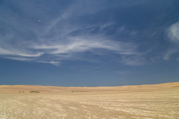 Atacama desert in Paracas national park, Peru