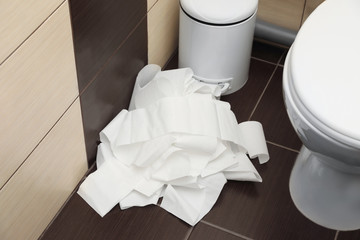 Unrolled toilet paper on floor in bathroom