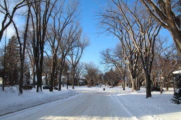 Obraz premium Winter Time In Glenora, Edmonton, Alberta