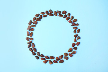 Round frame made of pine nuts on color background, top view with space for text