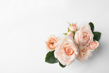 Beautiful roses and space for text on white background, top view