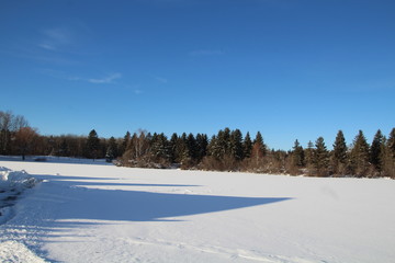 Frozen Lake, William Hawrelak Park, Edmonton, Alberta