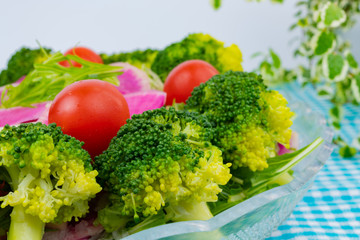 ブロッコリーと水菜と紅芯大根のサラダ