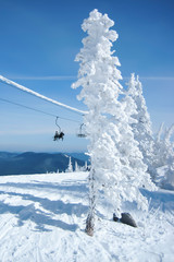 ski resort on a sunny winter morning, young spruce trees covered with thick frost, two men on a chairlift at the top of a mountain