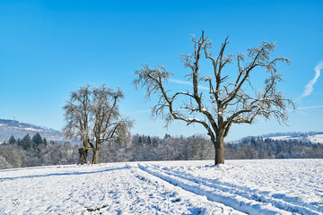 Hägenberg bei Zwingen / Brislach BL 