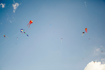 kites flying ina a blue sky.