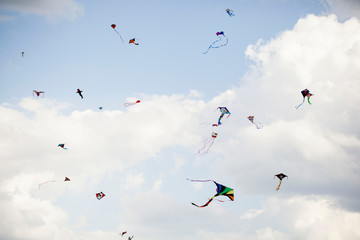 multiples kites flying in  a blue sky.
