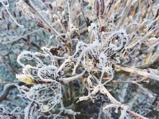 schneekristalle